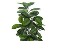 Artificial Plant, 52