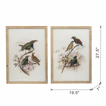 S 2 Bird Framed Print, 19.5X27.5" Multicolor Wood