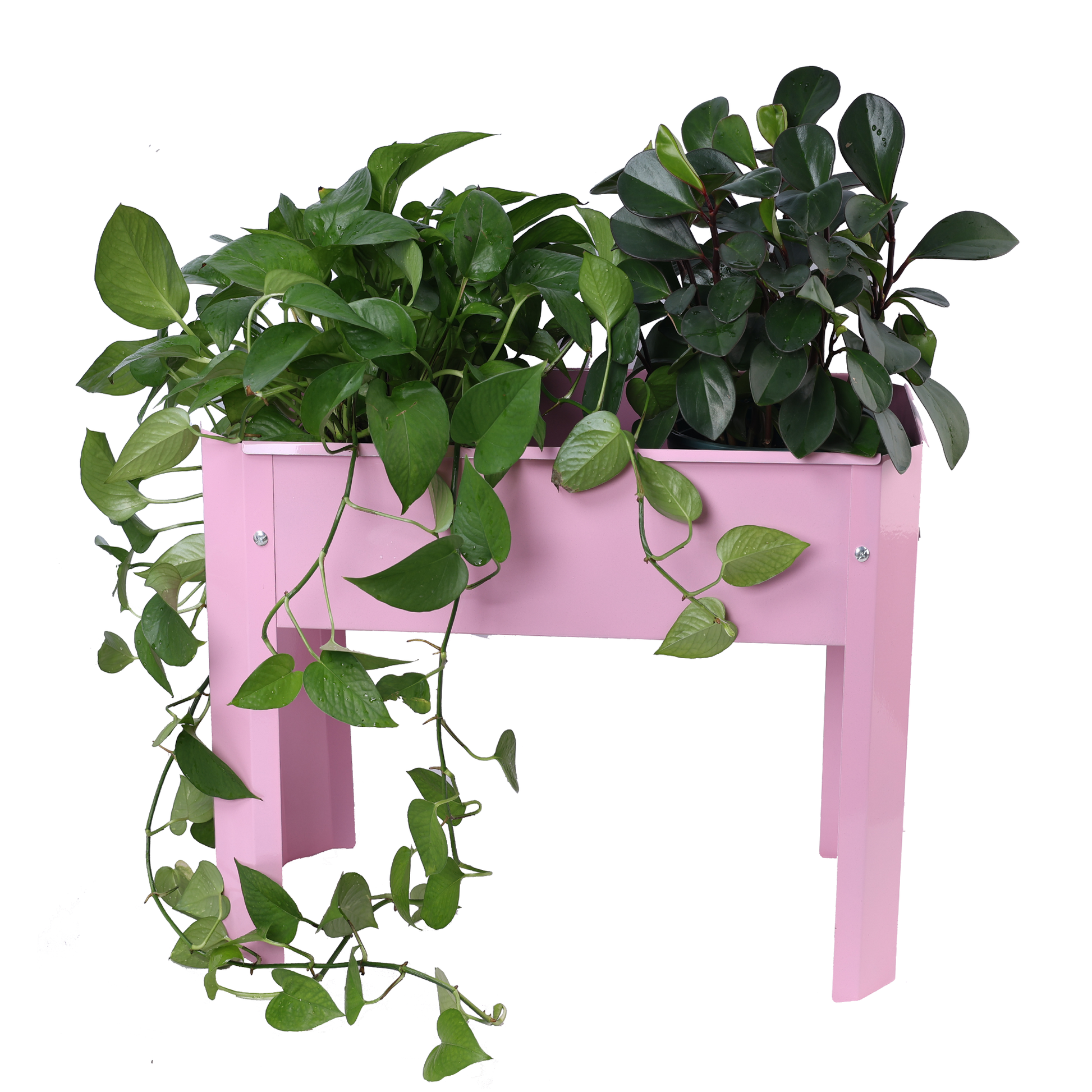 Elevated Garden Bed, Metal Elevated Outdoor Flowerpot Box, Suitable For Backyard And Terrace, Large Flowerpot, Suitable For Vegetable And Flowerpink*2 Pink Steel