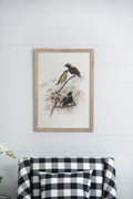 S 2 Bird Framed Print, 19.5X27.5
