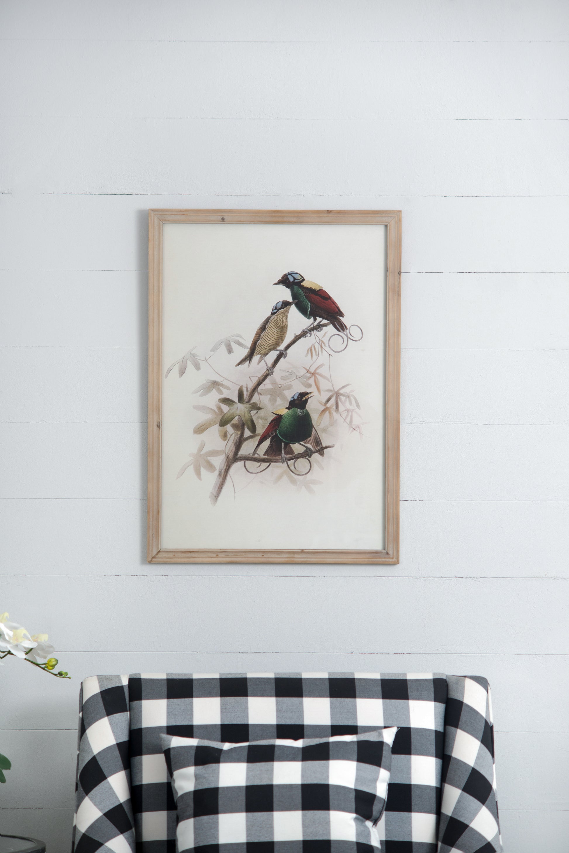 S 2 Bird Framed Print, 19.5X27.5" Multicolor Wood