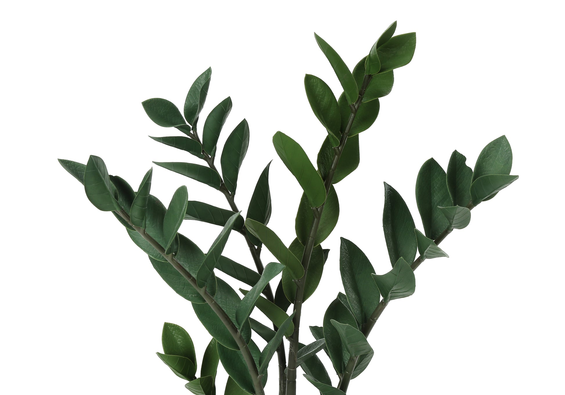 zz plant faux Artificial Plant, 29" Tall, Zz Tree, Indoor, Faux, Fake, Floor, Greene