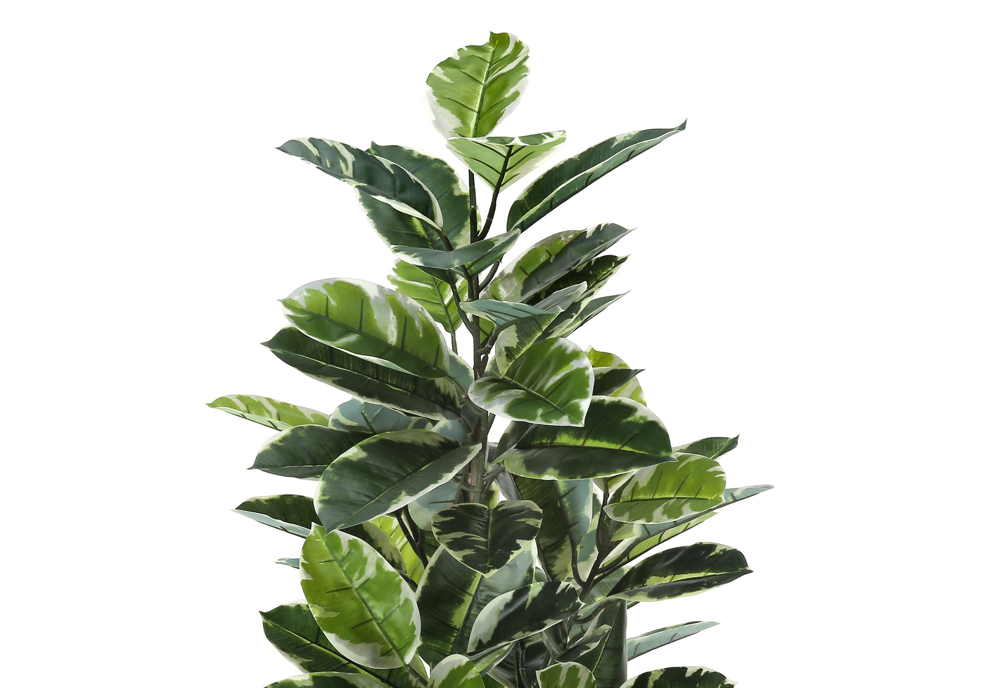 faux variegated rubber tree Artificial Plant, 52" Tall, Rubber Tree, Indoor, Faux, Fake, Floor, Gr