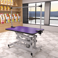 42.5Inch Hydraulic Pet Grooming Table With 