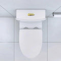 Elongated One Piece Toilet White White Bathroom Modern Porcelain