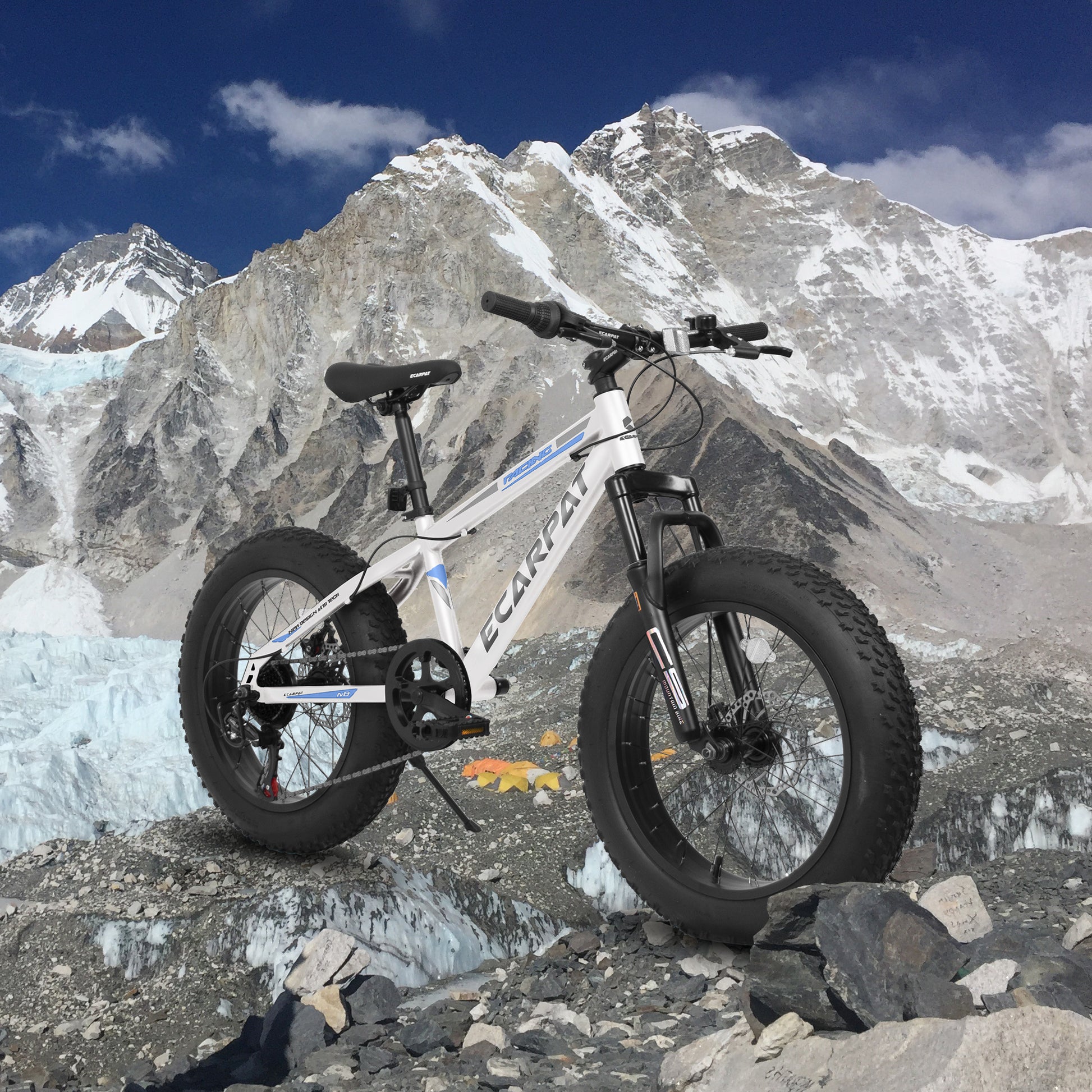 A20316 20 Inch Fat Tire Bike Adult Teen Full Shimano Speed Mountain