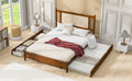 Queen Size Wooden Rattan Platform Bed, With 2 Big Drawers, T Size Trundle, Brown Queen Brown Plywood