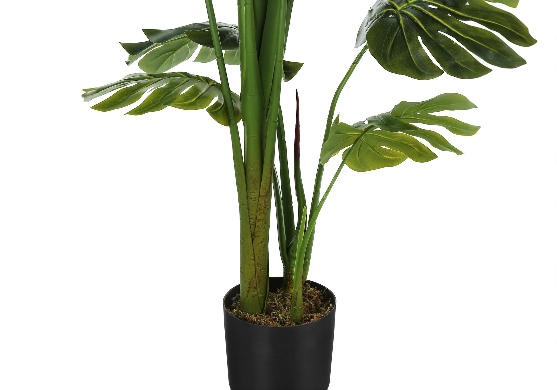 Artificial Plant, 55" Tall, Monstera Tree, Indoor, Faux, Fake, Floor, Greenery, Potted, Real Touch, Decorative, Green Leaves, Black Pot Green Plastic