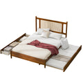 Queen Size Wooden Rattan Platform Bed, With 2 Big Drawers, T Size Trundle, Brown Queen Brown Plywood