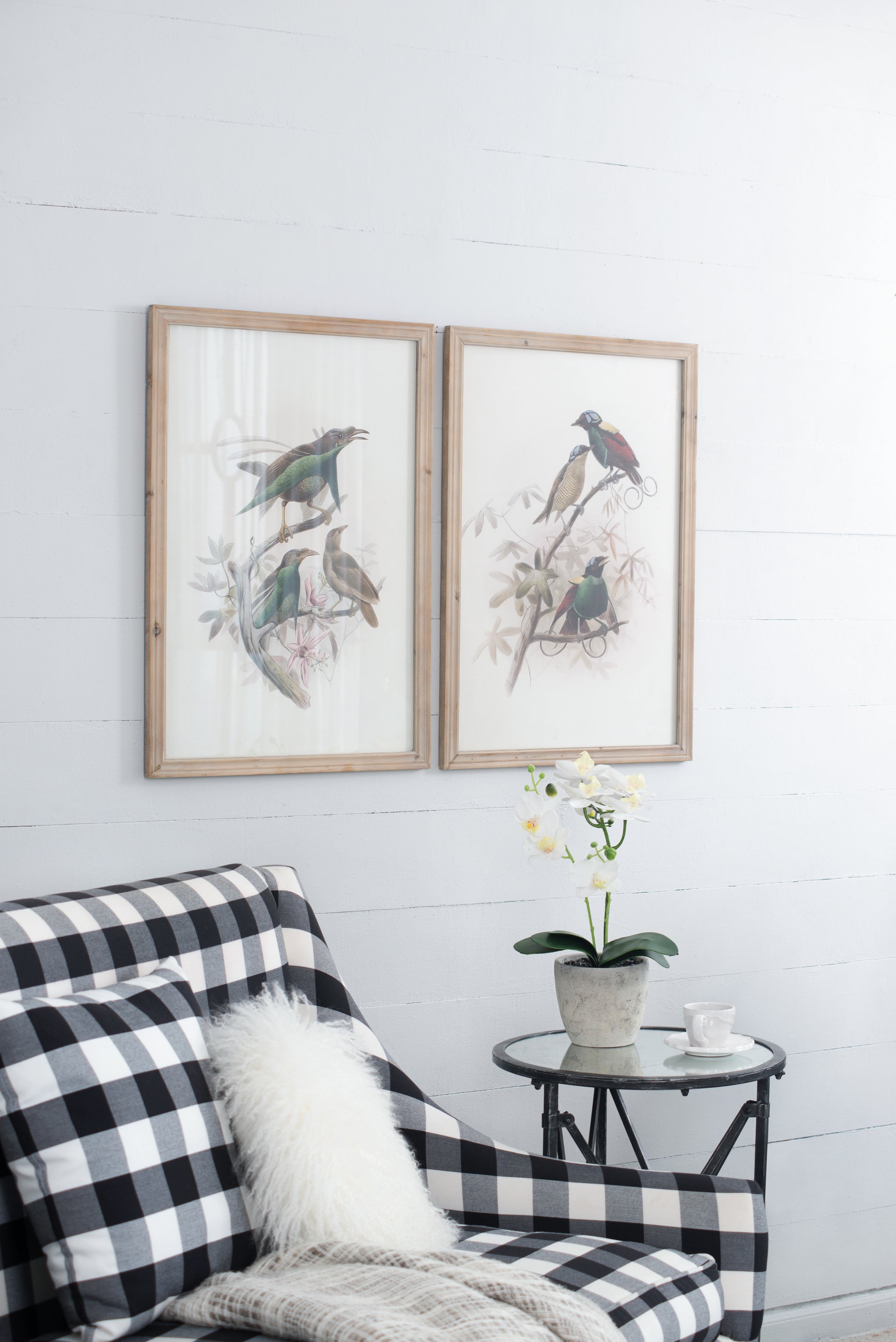 S 2 Bird Framed Print, 19.5X27.5" Multicolor Wood