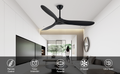 60 Inch Ceiling Fan With Remote Control Timed Lighting, Reversible Airflow And Quiet Operation For Living Room & Bedroom & Outdoor Black Modern Abs