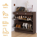 Mirror Shoe Cabinet With 2 Tier Drawers, Mirror Shoe Rack With 1 Drawer Storage, Mirror Shoe Organizer With 2 Layers In A Drawer For Entrance, Entryway, Bedroom,Brown Finish 1 2 Drawers Brown Brown Primary Living Space Glass Doors Mdf Glass