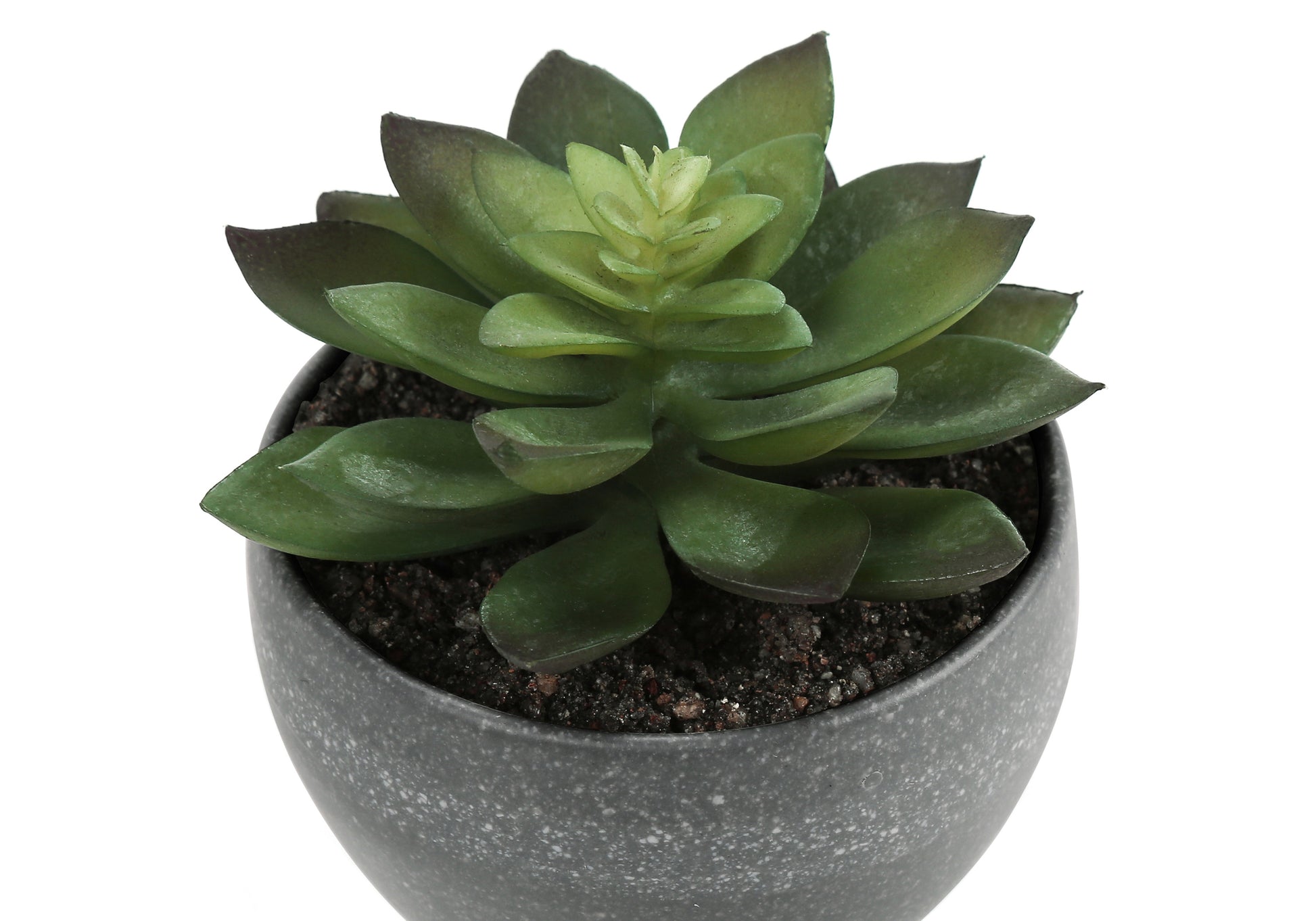 Artificial Plant, 6" Tall, Succulent, Indoor, Faux, Fake, Table, Greenery, Potted, Set Of 3, Decorative, Green Plants, Grey Cement Pots Green Foam Plastic