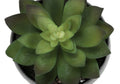 Artificial Plant, 6