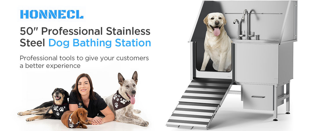 Professional Stainless Steel Dog Bathing Station