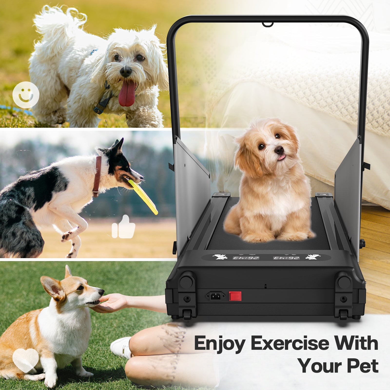 Dog Treadmill Small Dogs Dog Treadmill For Medium Dogs Dog Pacer Treadmill For Healthy & Fit Pets Dog Treadmill Run Walk Black Steel