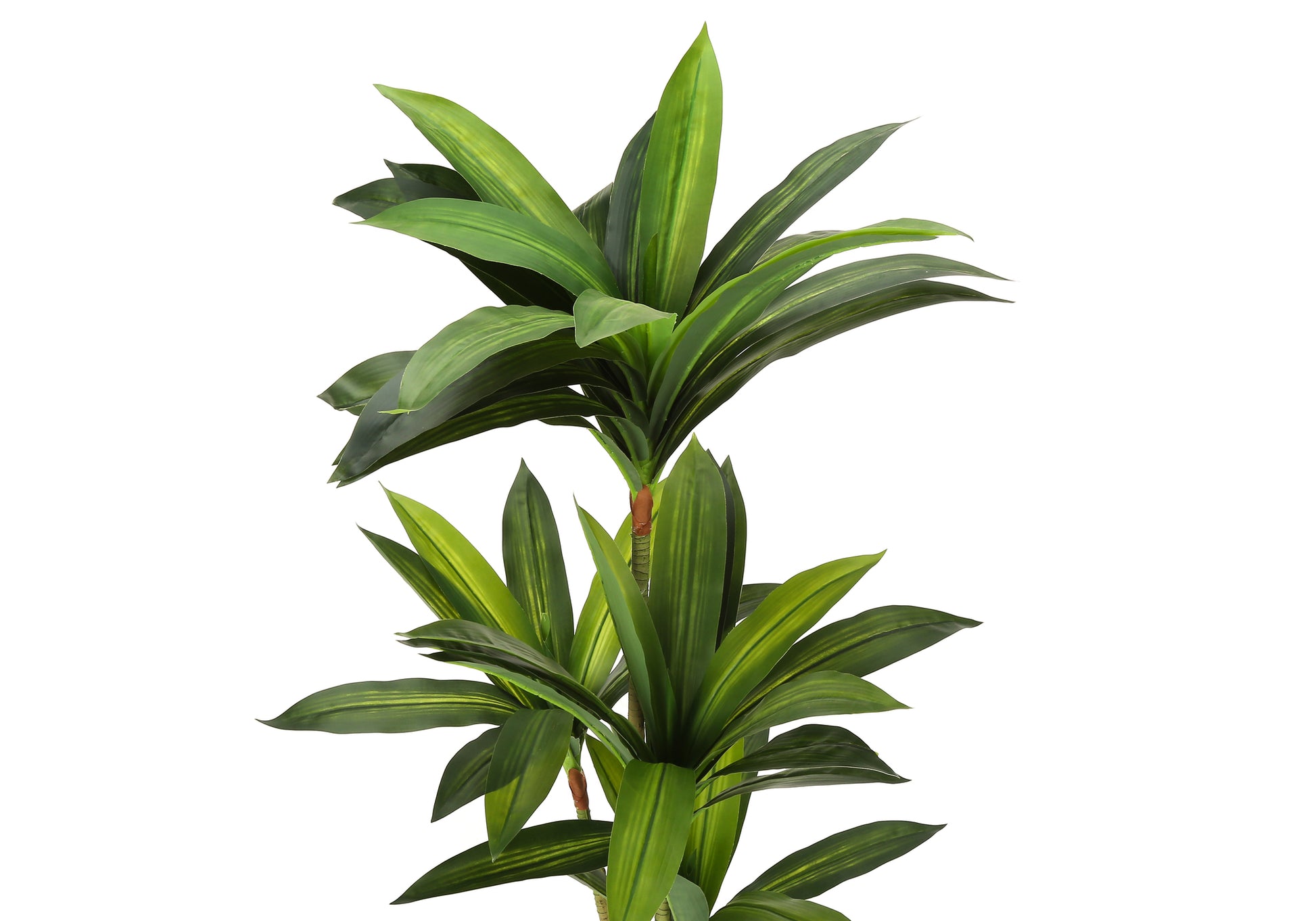 Artificial Plant, 51" Tall, Dracaena Tree, Indoor, Faux, Fake, Floor, Greenery, Potted, Real Touch, Decorative, Green Leaves, Black Pot Green Plastic