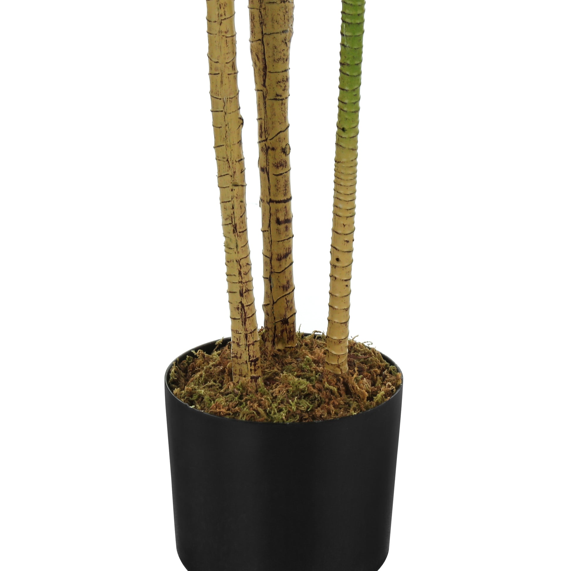 Artificial Plant, 51" Tall, Dracaena Tree, Indoor, Faux, Fake, Floor, Greenery, Potted, Real Touch, Decorative, Green Leaves, Black Pot Green Plastic