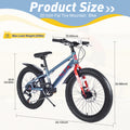 20 Inch Kids Bicyclesfat Tire Mountain Bike For Boys And Girls Age 5 Years ,Dual Disc Brake,Shimano 7 Speed ,Kids Beach And Snow Bicycle Grey Steel