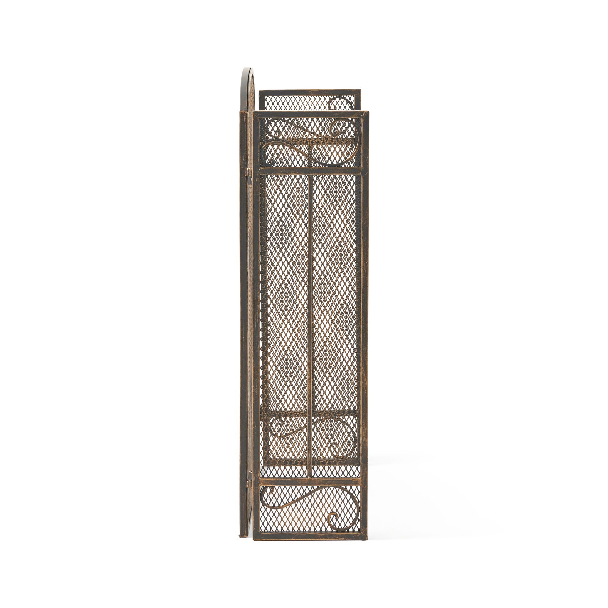 Fire Screen Black Gold Iron