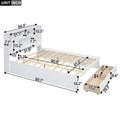 Queen Size Platform Bed With Storage Headboard And 2 Drawers, White Box Spring Not Required Queen White Wood Bedroom Bed Frame Solid Wood Mdf