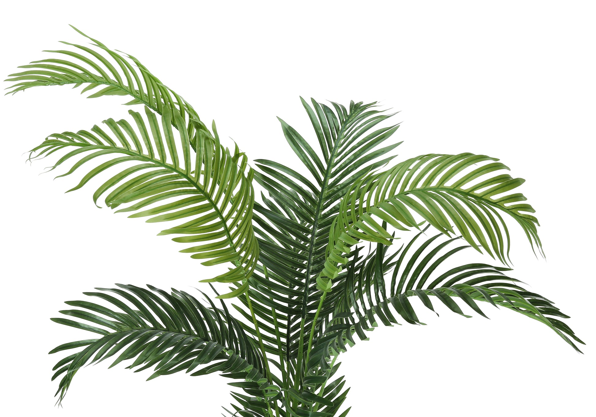 fake palm tree plant Artificial Plant, 57" Tall, Palm Tree, Indoor, Faux, Fake, Floor, Greenery, Potted, Real Touch, Decorative, Green Leaves, Black Pot Green Plastic
