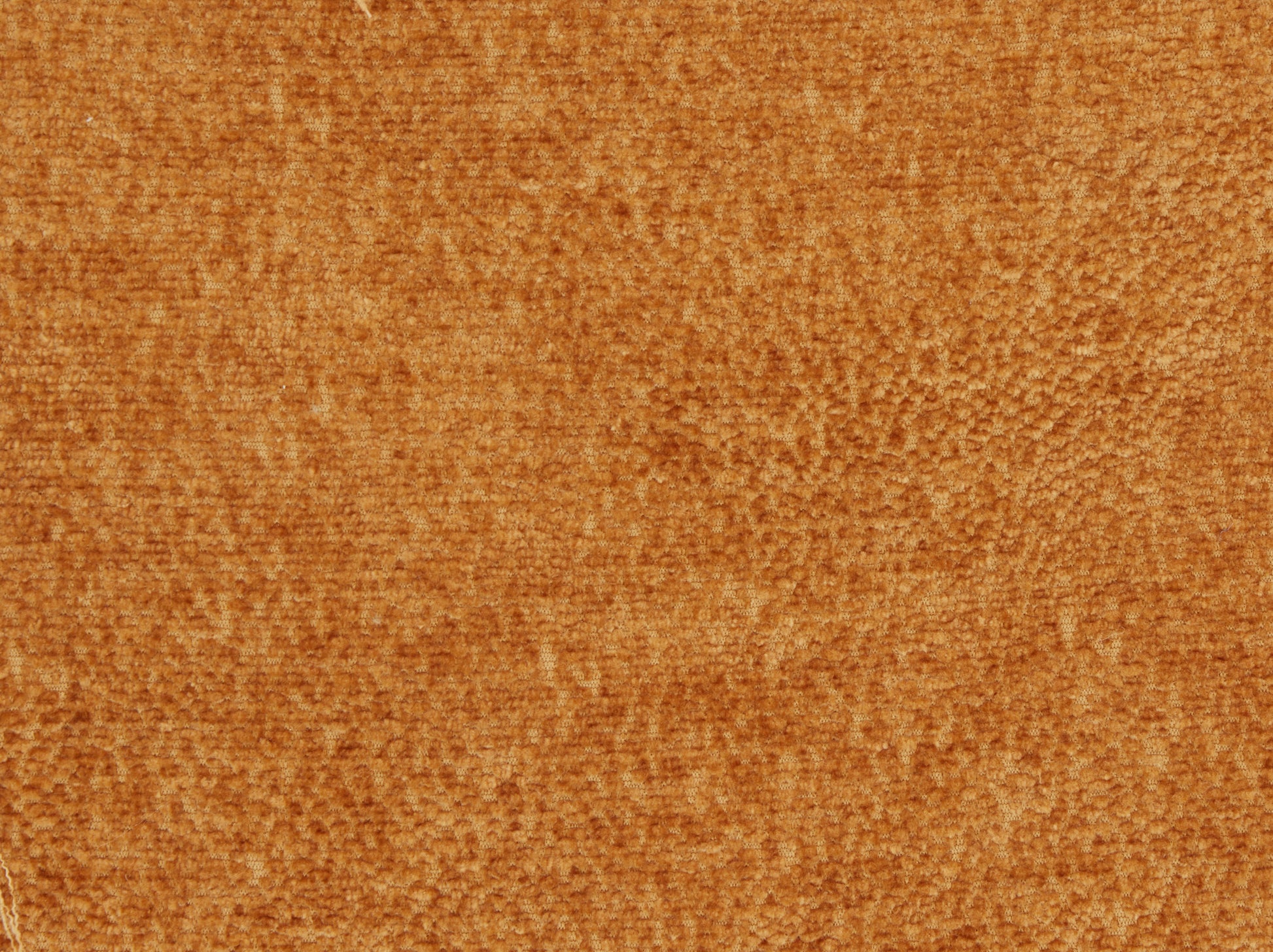 Chenille Armchair, Modern Style Accent Chair With Wood Legs, Comfy Design For Living Room, Bedroom, Office, Orange Orange Foam Wood Fabric