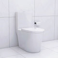 Elongated One Piece Toilet White White Bathroom Modern Porcelain