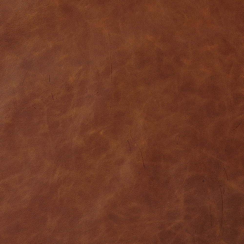 Dillon Waxy Pull Up Leather Chair Mocha Down Filling Genuine Leather