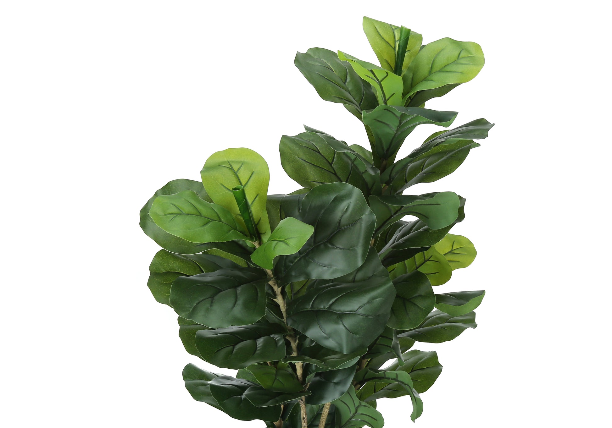 Artificial Plant, 41" Tall, Fiddle Tree, Indoor, Faux, Fake, Floor, Greenery, Potted, Real Touch, Decorative, Green Leaves, Black Pot Green Plastic