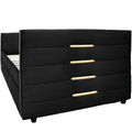 Black Upholstered Twin Size Daybed With Trundle, Velvet Fabric, Gold Iron Bar Design, No Springs Required, Moderen Style Box Spring Not Required Twin Black Wood Espresso Bedroom Minimalist,Modern,Ultra Modern Rubberwood Fiber Foam And Polyester Fiber Pad