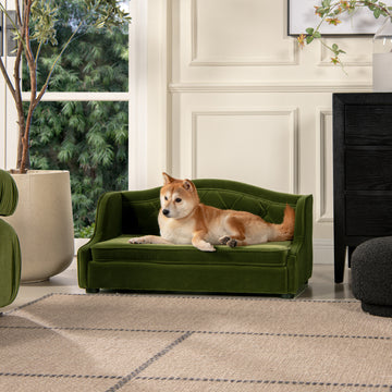 Robin 35" Tufted Wingback Pet Sofa Bed, Medium, Olive Green Performance Velvet Olive Green Foam Velvet