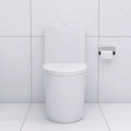 Elongated One Piece Toilet White White Bathroom Modern Porcelain