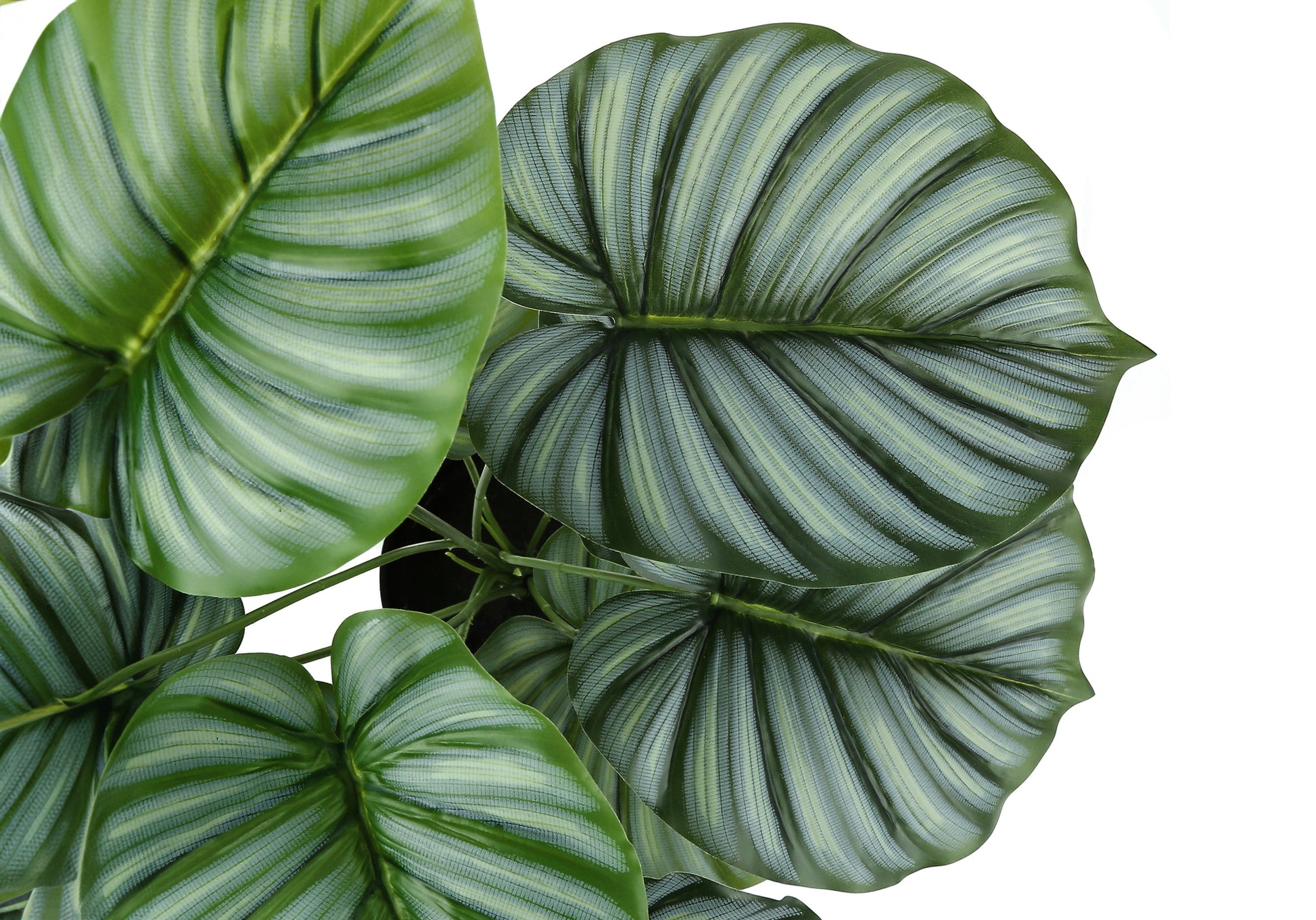 Artificial Plant, 24" Tall, Calathea, Indoor, Faux, Fake, Table, Greenery, Potted, Real Touch, Decorative, Green Leaves, Black Pot Green Foam Plastic