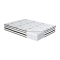 12 Inch Queen Mattress Highlyquilted Cover Hybrid Mattress, White, Plush Foam Mattress In A Box, Luxury Comfort Mattress White Bedroom Foam Spring Queen