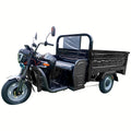 Electric Three Wheel 1.6M Black Abs Rubber Steel Q235