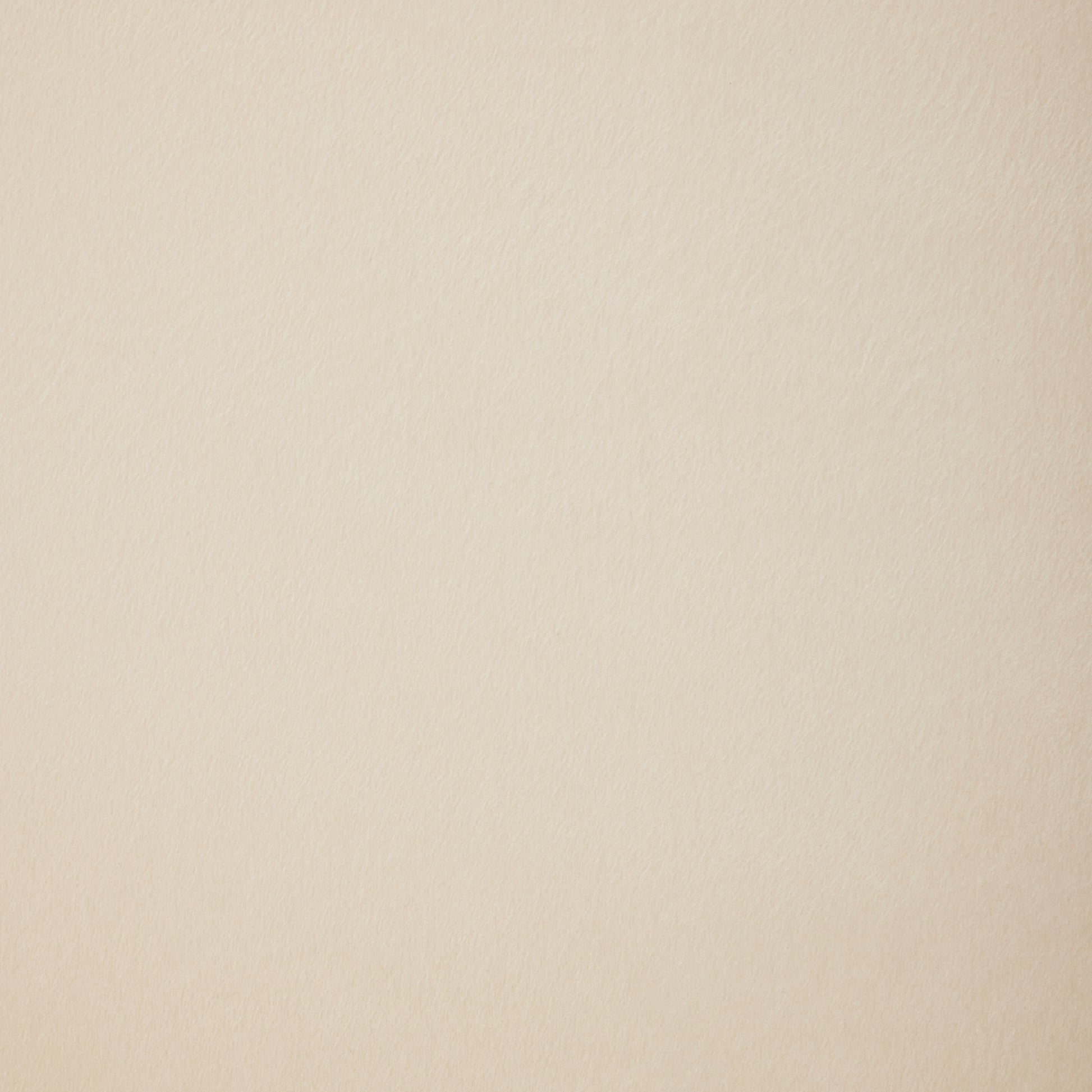 Velvet Multifunctional Storage Rectangular Ottoman Bench With 1 Pillow, Beige Beige Polyester Wood Solid Beige Pine Flip Top Polyester With Storage Velvet