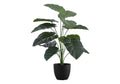 Artificial Plant, 24