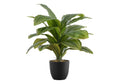 Artificial Plant, 17