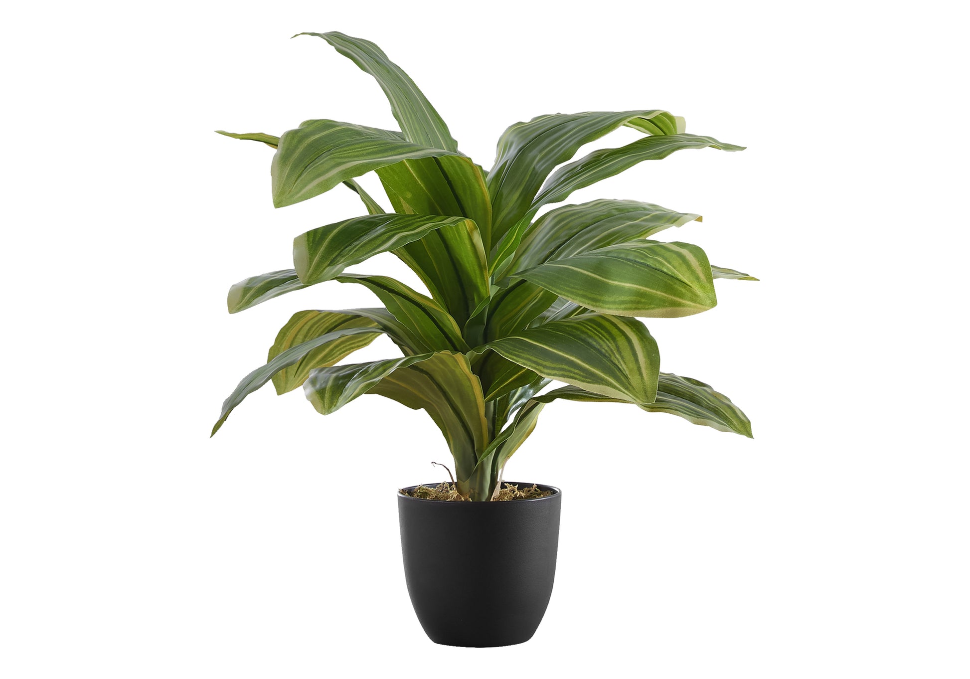 Artificial Plant, 17" Tall, Dracaena, Indoor, Faux, Fake, Table, Greenery, Potted, Real Touch, Decorative, Green Leaves, Black Pot Green Plastic