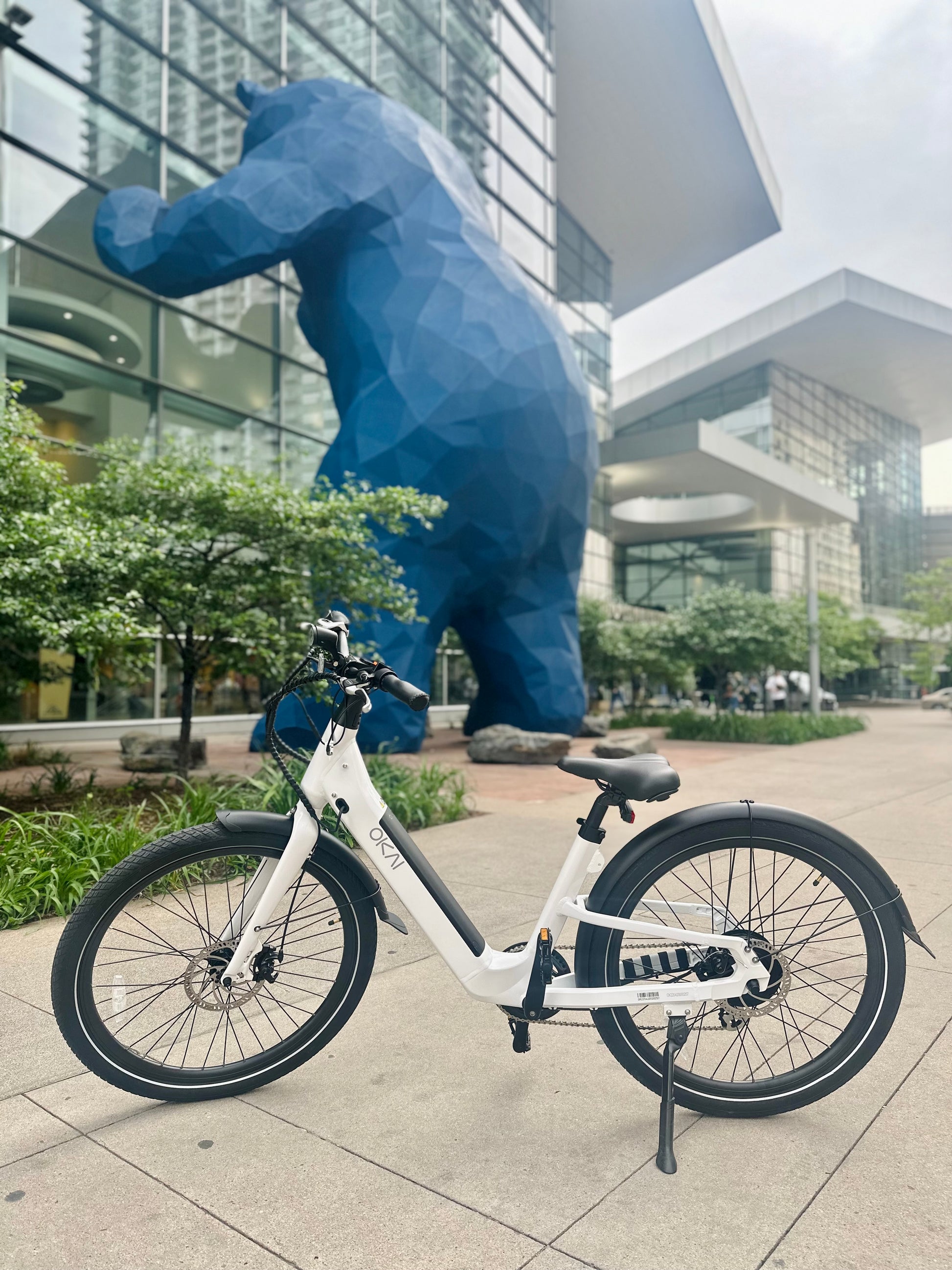 Electric Bike W 40 Miles Max Operating Range And 25 Mph Max Speed Whit Electric Bike W 40 Miles Max Operating Range And 25 Mph Max Speed Whit