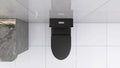 Matte Black Elongated One Piece Toilet Dual Flush 1.1 1.6 Gpf Water Saving Map 1000G,Matte Black Matte Black Bathroom Modern Porcelain