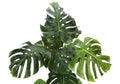 Artificial Plant, 55