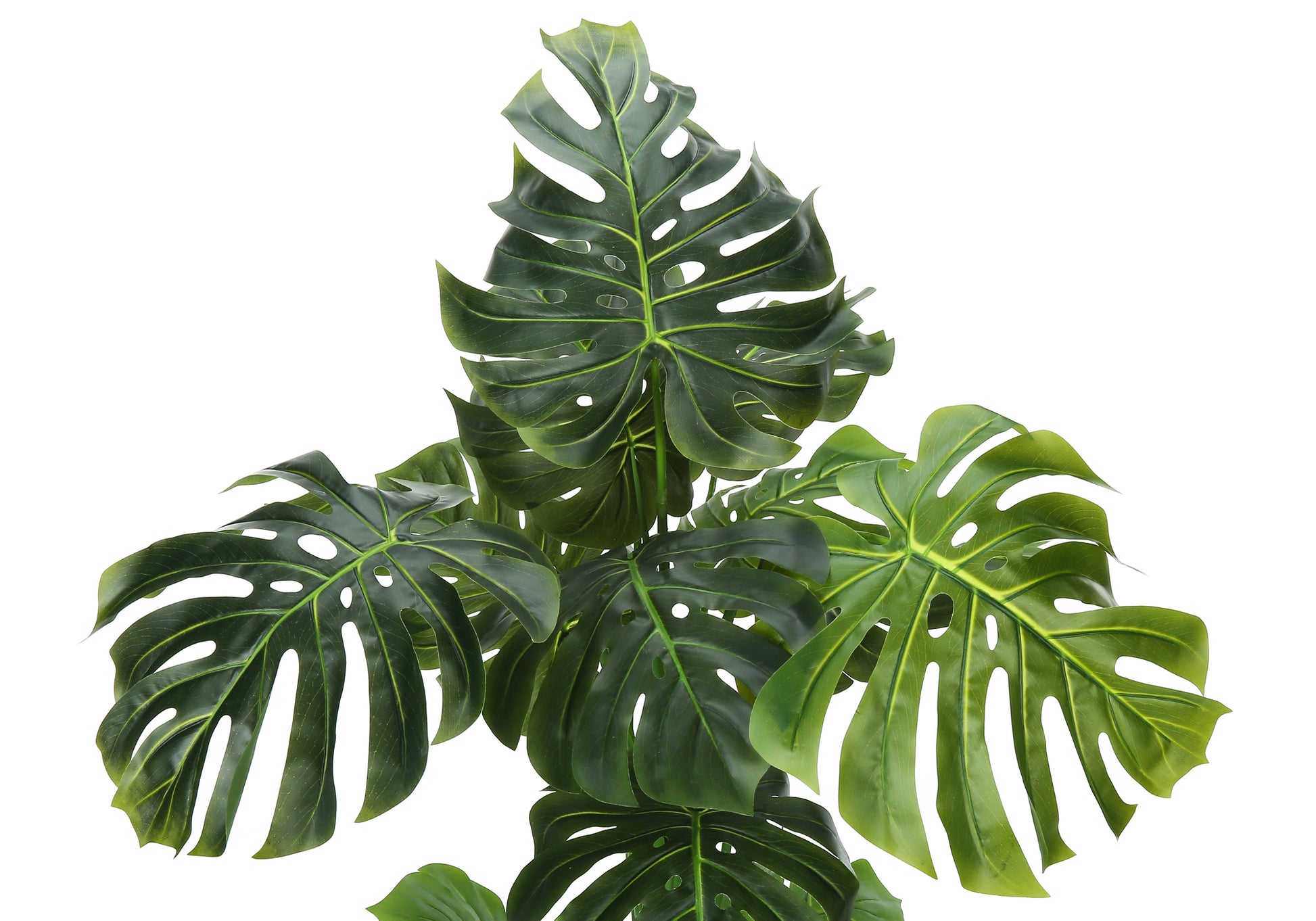 Artificial Plant, 55" Tall, Monstera Tree, Indoor, Faux, Fake, Floor, Greenery, Potted, Real Touch, Decorative, Green Leaves, Black Pot Green Plastic