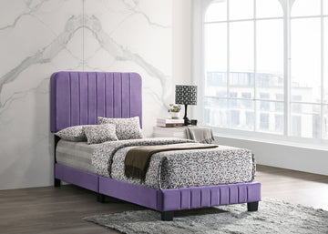 Lodi G0502 Tb Up Twin Bedpurple Purple Foam Velvet