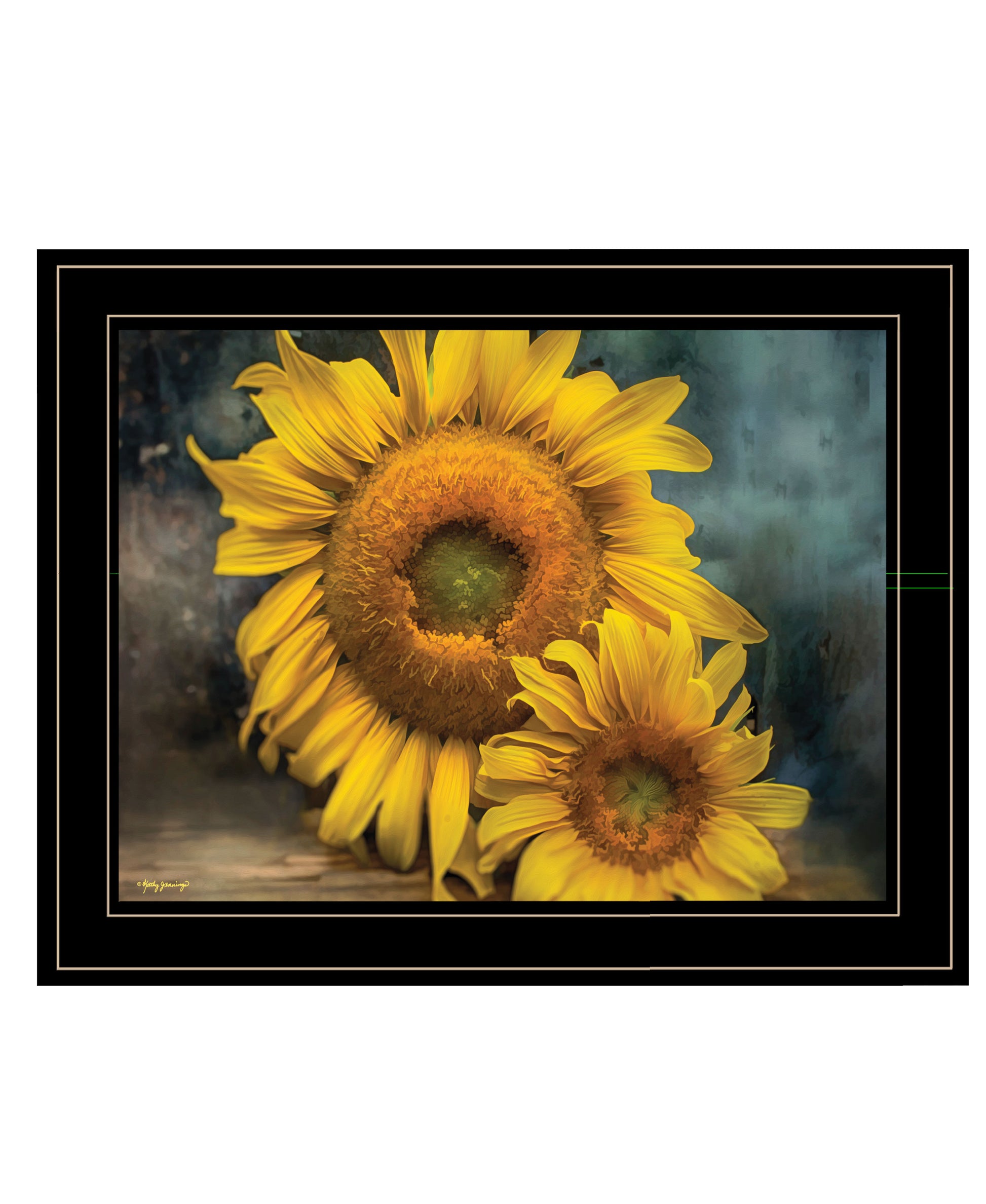 "Floral Beauty Ii" By Kathy Jennings, Ready To Hang Framed Print, Black Frame Multicolor Paper