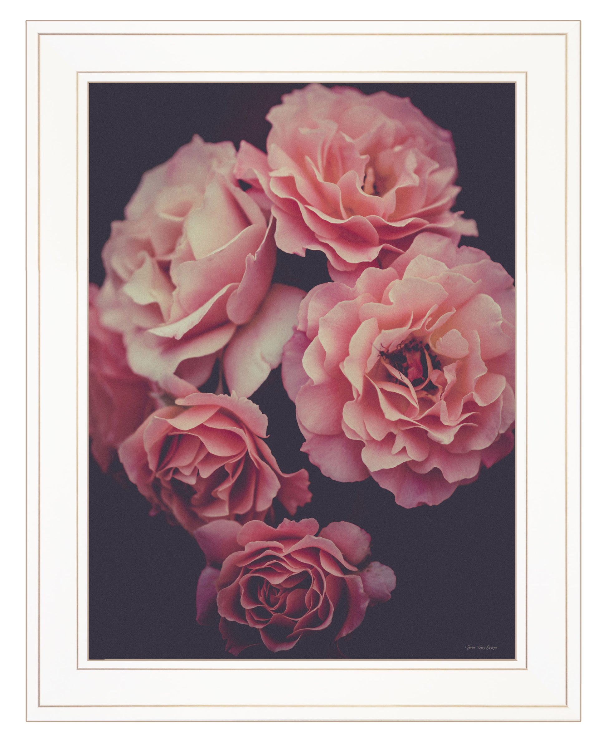 "Dreamy Rose" By Seven Trees Design, Ready To Hang Framed Print, White Frame Multicolor Paper