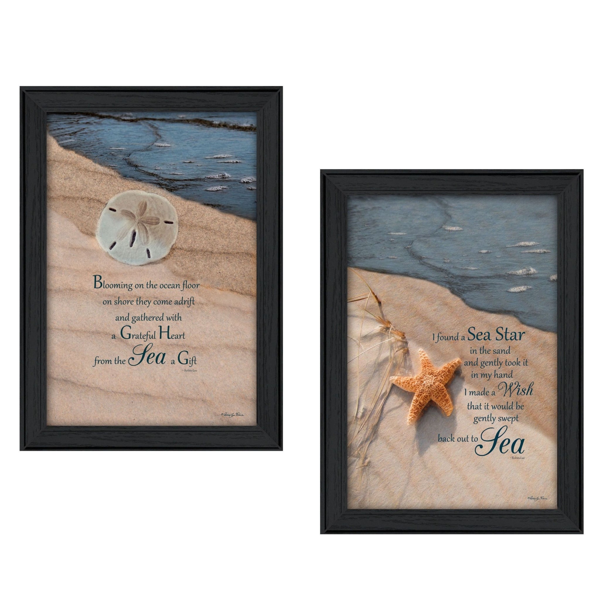 "a Gift from the Sea Collection" 2 Piece Vignette