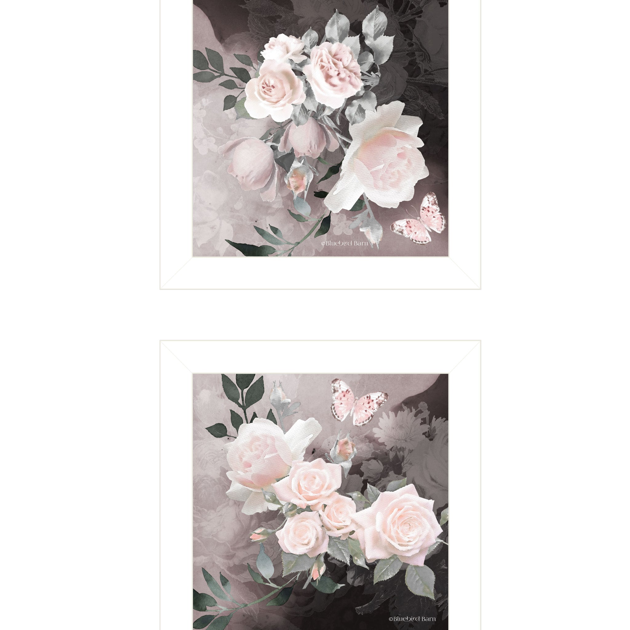 "Noir Roses Collection" 2 Piece Vignette By Bluebird Barn, Ready To Hang Framed Print, White Frame Multicolor Paper