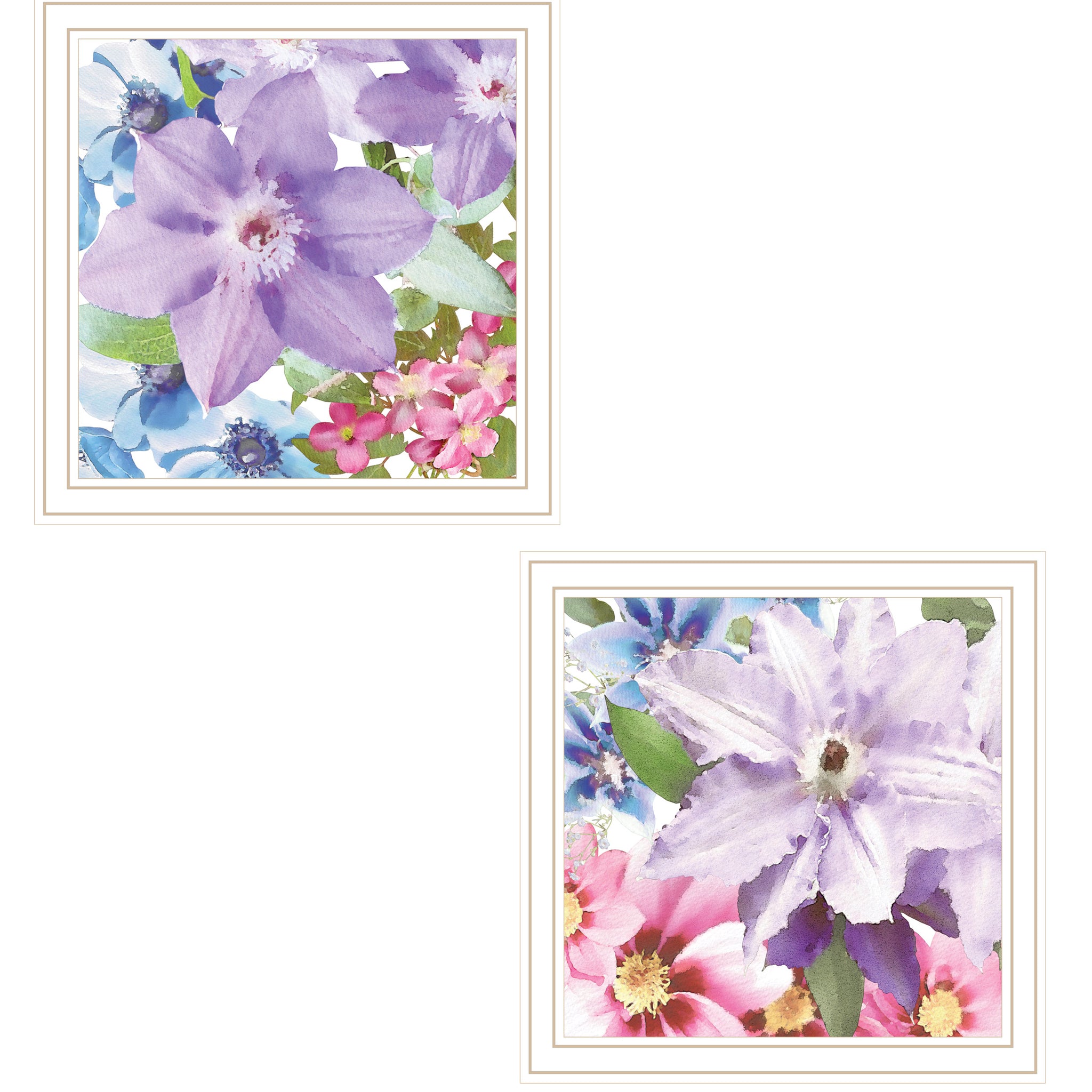 "Clematis Collection" 2 Piece Vignette By Bluebird Barn, Ready To Hang Framed Print, White Frame Multicolor Paper